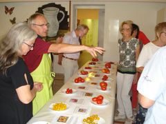 Tomatenverkostung