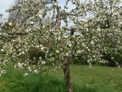 Obst-Info-Weg