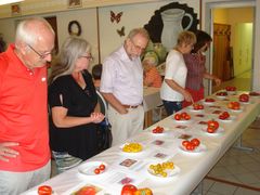 Tomatenverkostung