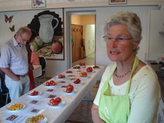 Tomatenverkostung