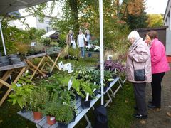 Herbstmarkt 2017
