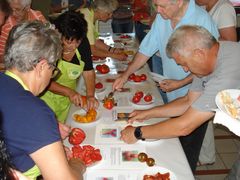 Tomatenverkostung